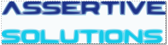 assertie solutions svg.png