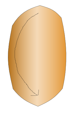 Screen Shot 2012-01-12 at 10.37.14 AM.png