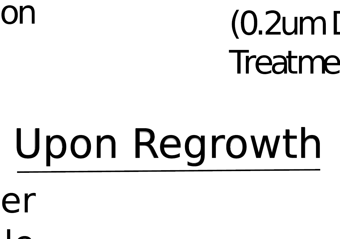 screenshot of pdf.png