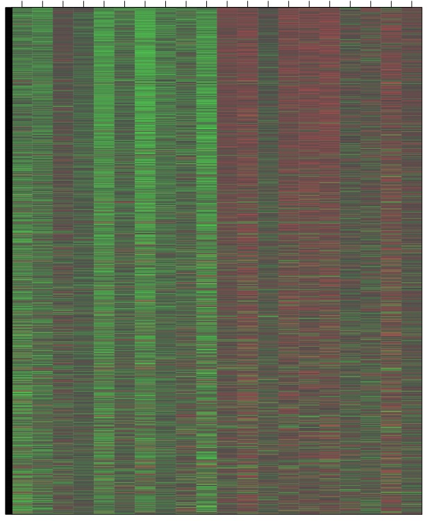 screenshot of rplot in inkscape.jpg